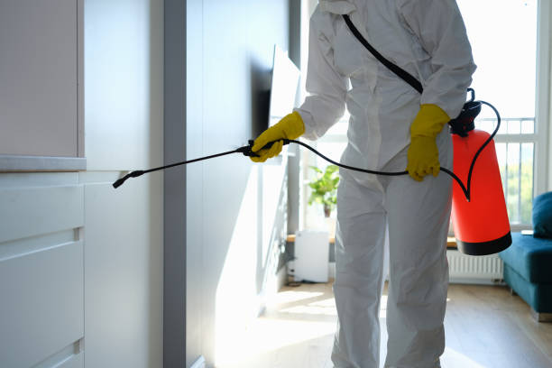 Best Attic Mold Removal  in Pine Level, AL