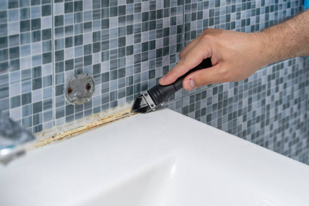 Professional Mold Removal in Pine Level, AL